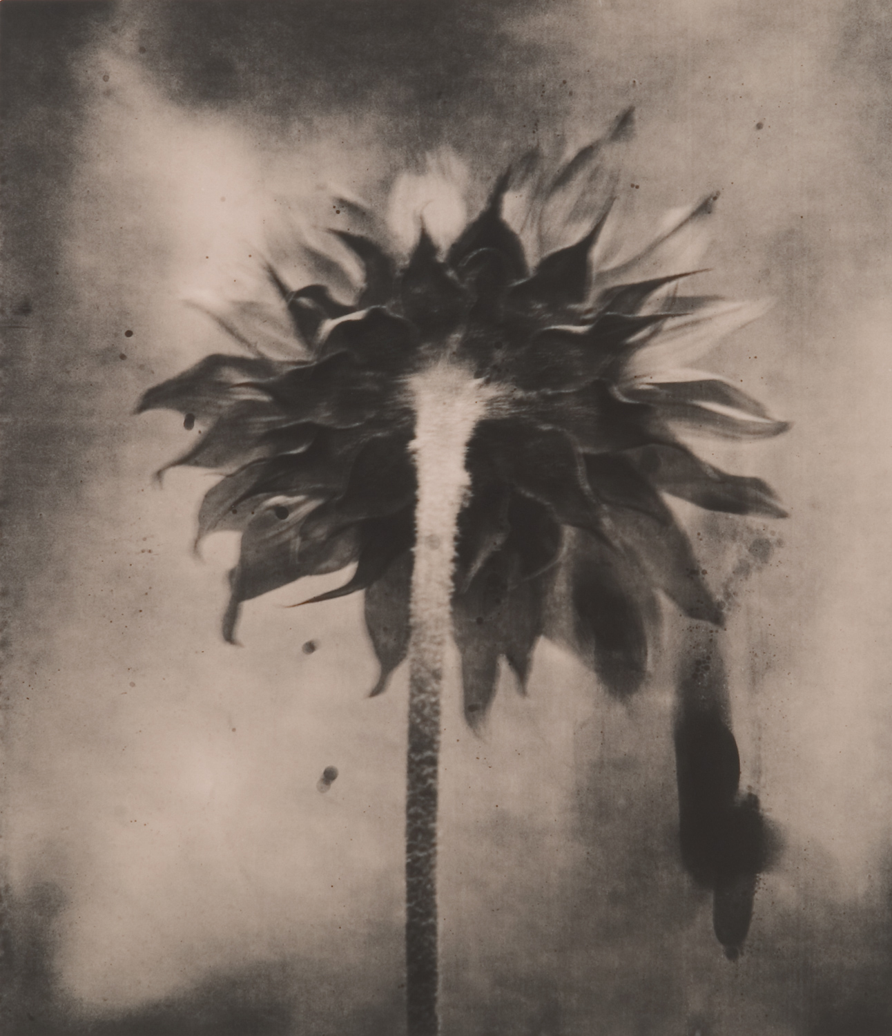 z cyklu bez tytułu, nr neg. 1040/5